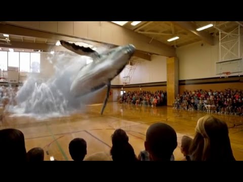 Descubre el primer programa animado en 3D y su impacto en la industria del entretenimiento