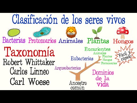 Todo lo que necesitas saber sobre los dominios y reinos actuales