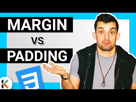 Todo lo que necesitas saber sobre el bottom width: definición y ejemplos