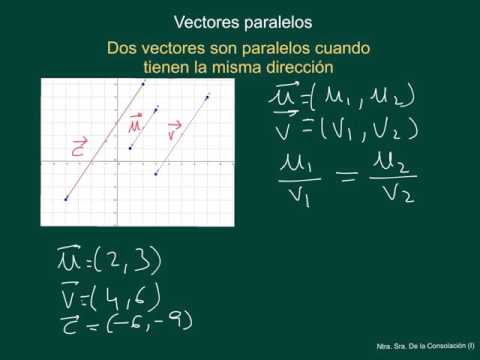 Todo lo que necesitas saber sobre vectores equivalentes y su relación con la paralelidad