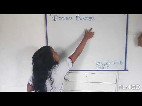 Funciones del dominio Eukarya: Todo lo que necesitas saber