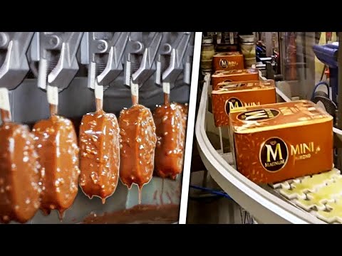 Todo lo que debes saber sobre las piezas de una caja de paletas Magnum