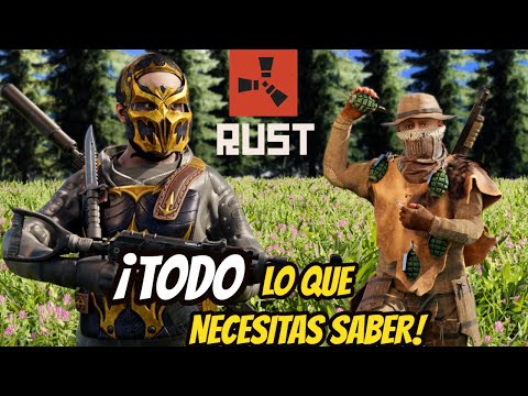 Guía definitiva sobre cuándo utilizar Rust: todo lo que necesitas saber