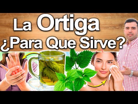 Todo lo que debes saber sobre el 02: Origen, usos y beneficios