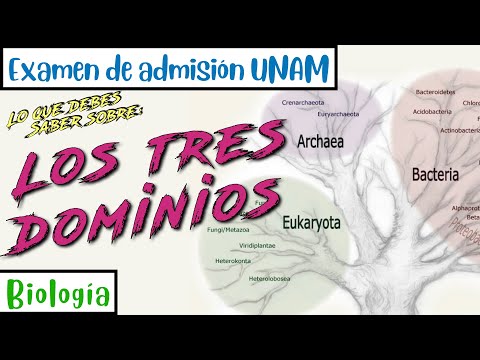 Descubre los tres dominios de la vida: ¡Conviértete en un experto en biología!