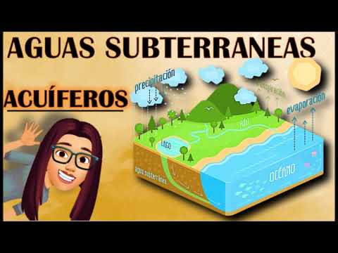 Descubre todo sobre la línea de agua y su importancia en la construcción
