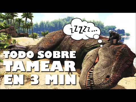 Todo sobre width 100%: significado y usos - Guía completa